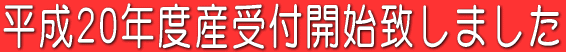 �����Q�O�N�x�Y��t�J�n�v���܂���